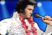 Elvis