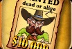 Wild West Bounty