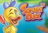 Scruffy Duck