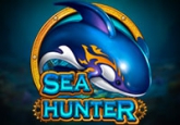 Sea Hunter