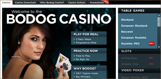 Bodog