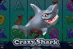 Crazy Shark